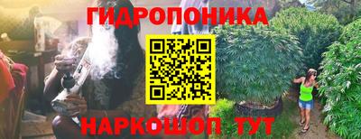 apvp Михайловск