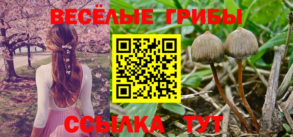 Галлюциногенные грибы Psilocybe  Вход с VPN  Псилоцибиновые грибы мухоморы  Великий Новгород 